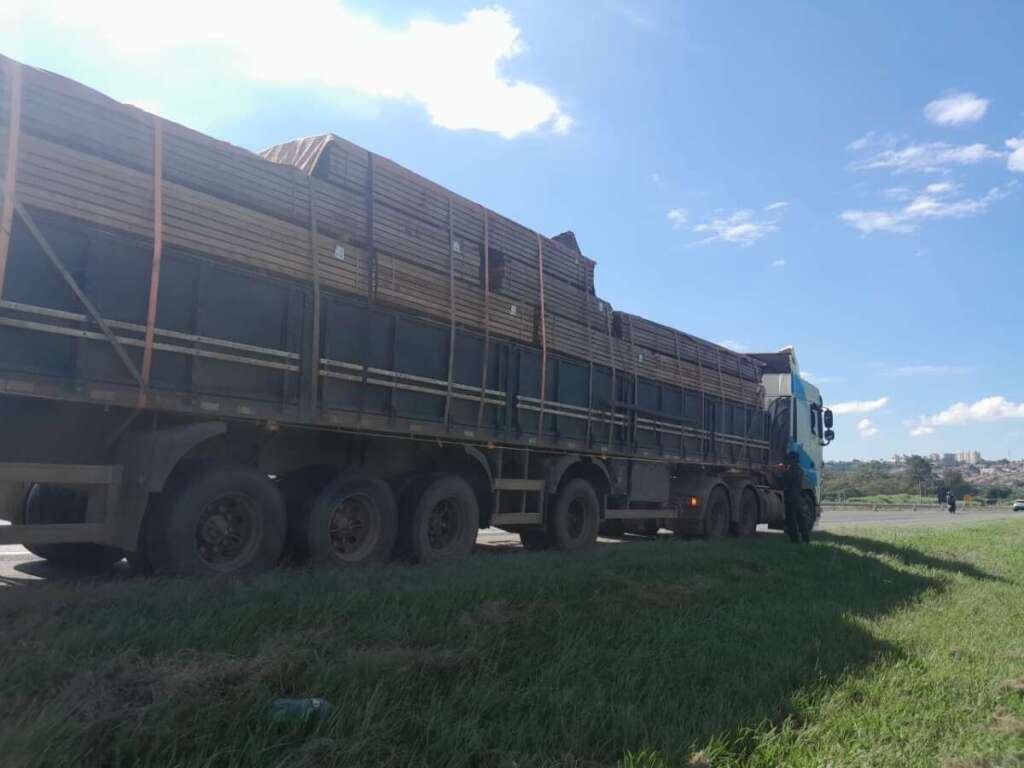 WhatsApp Image 2026 03 25 at 19.44.25