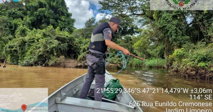 WhatsApp Image 2026 03 25 at 19.45.31