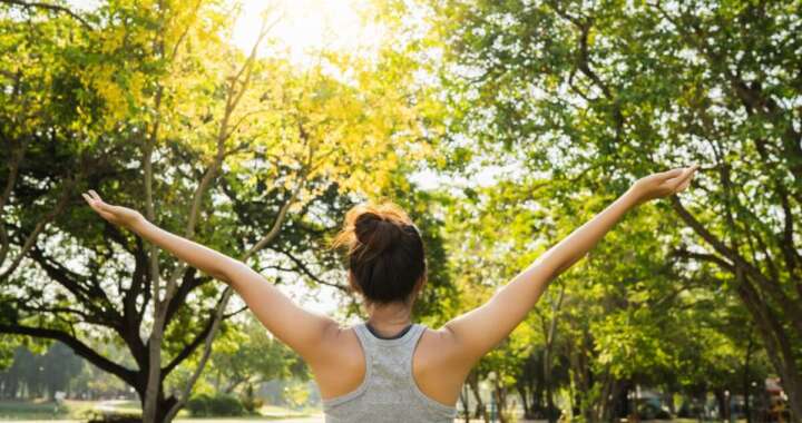 WhatsApp Image 2026 03 26 at 17.09.08