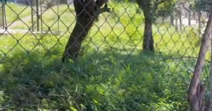 WhatsApp Image 2026 03 27 at 19.02.36