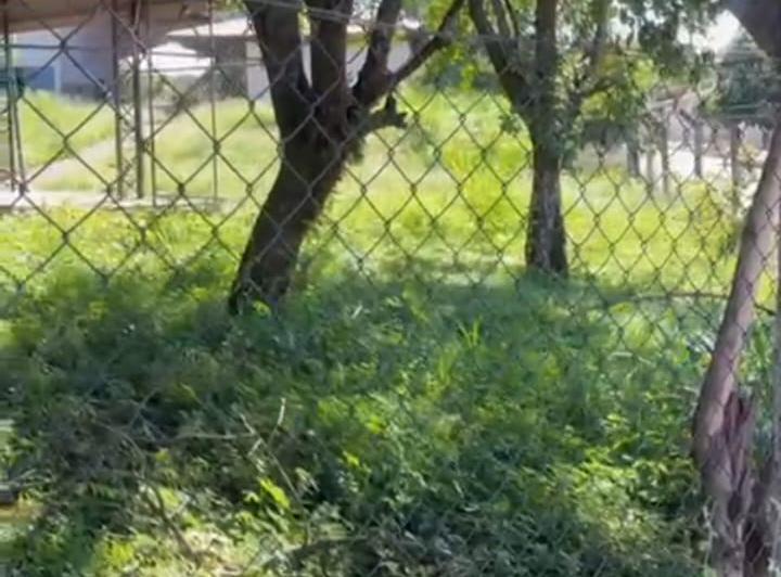 WhatsApp Image 2026 03 27 at 19.02.36