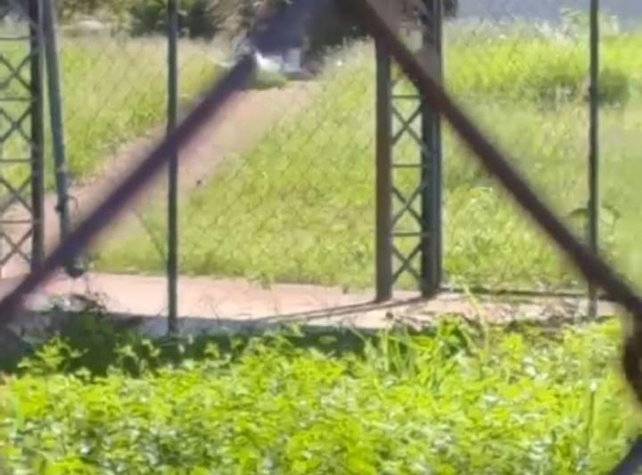 WhatsApp Image 2026 03 27 at 19.03.05