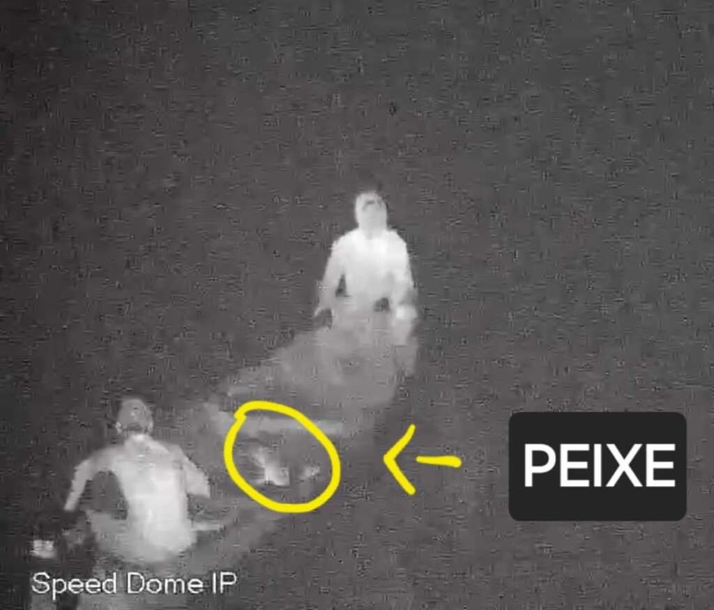 WhatsApp Image 2026 03 28 at 01.12.34 1