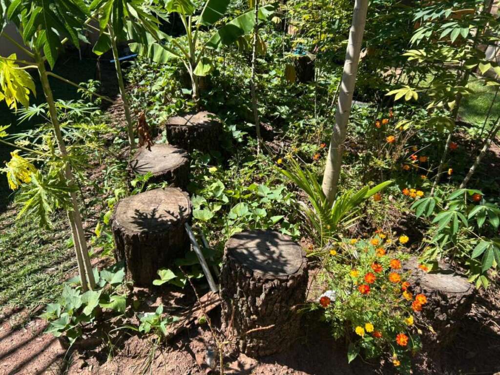 WhatsApp Image 2026 03 28 at 17.25.29