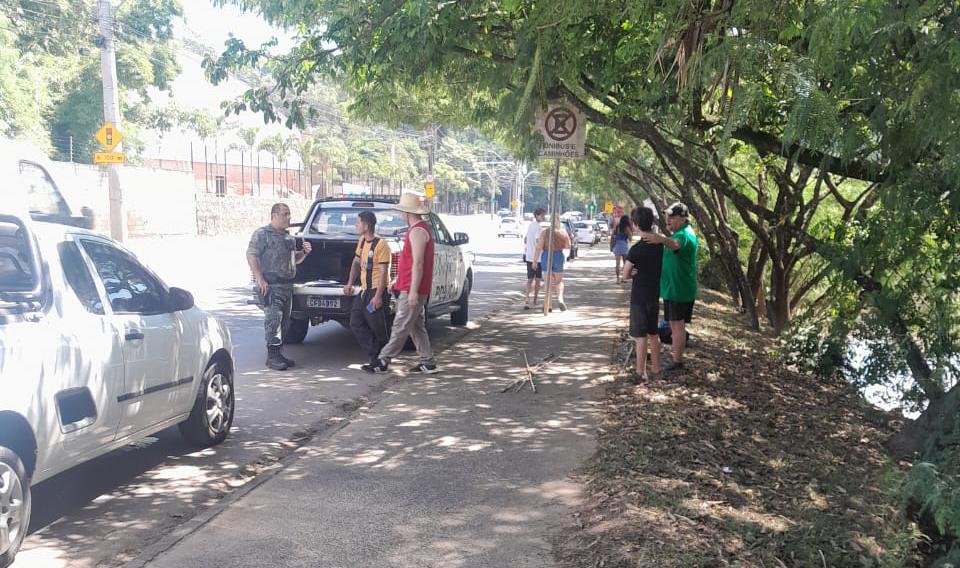 WhatsApp Image 2026 03 29 at 15.21.18