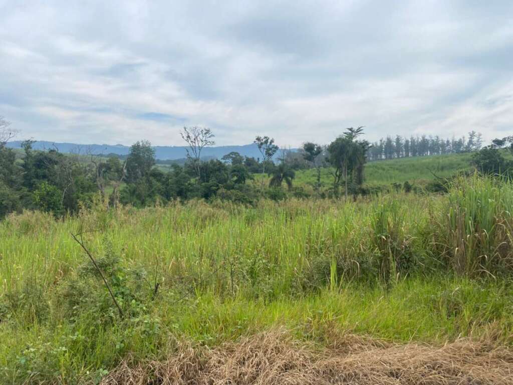 a2f84040 6467 47dc 9938 08c14a798935