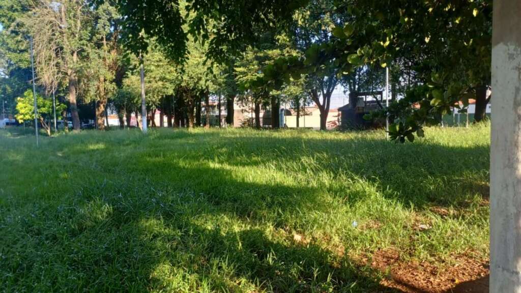 bdf1b320 36e6 4c57 be1e 61b4945dda02 1