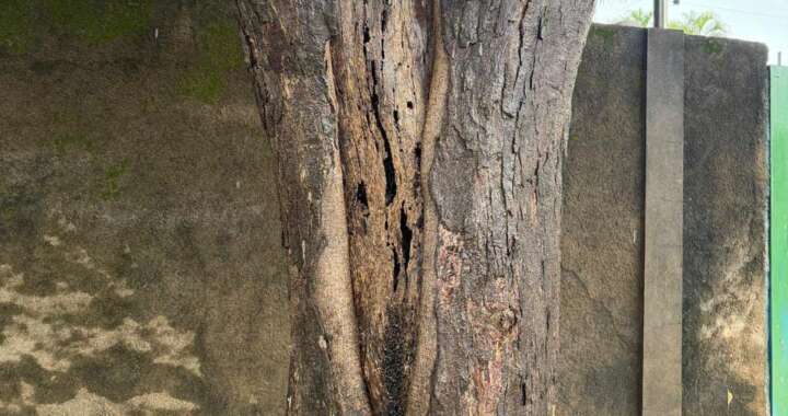 cedb9112 f0ec 4873 b4ea 81e38521f5ad