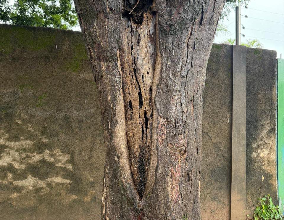 cedb9112-f0ec-4873-b4ea-81e38521f5ad