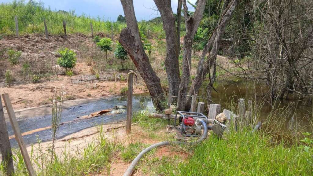 d3c9b4d5 a229 4eca 87b8 43c9bcd32e3a