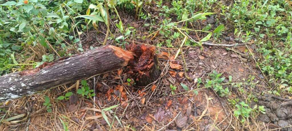 da4eaa5b f665 44b3 89c6 2a2d0024a9f3