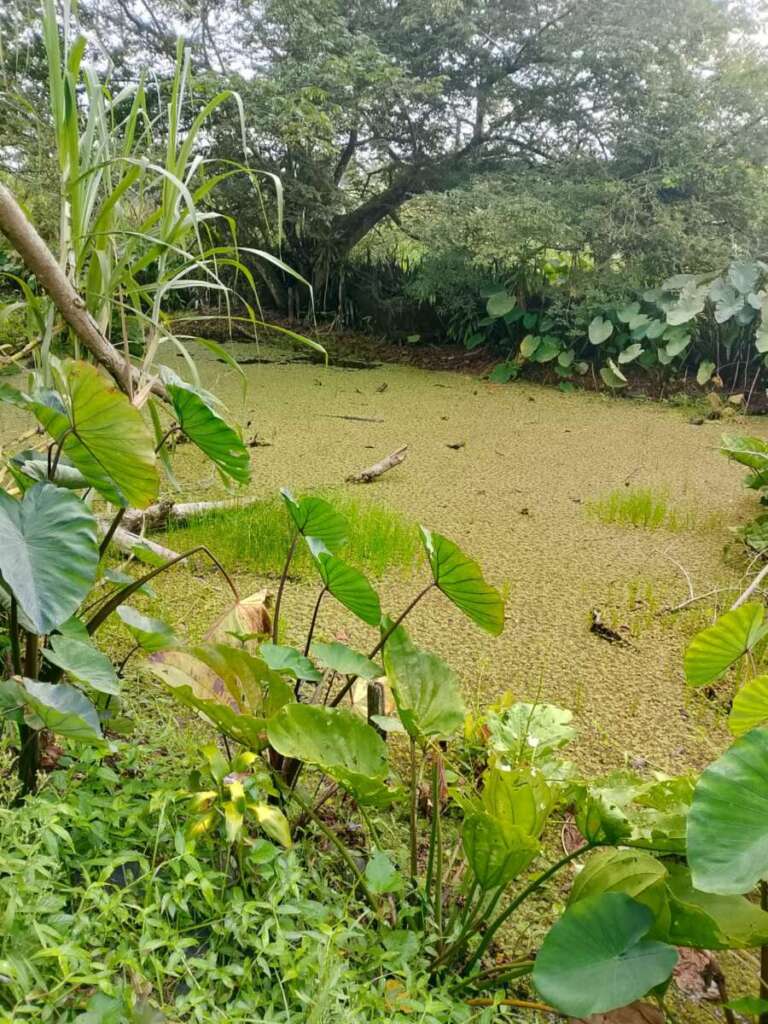 dc690b1b 04ce 4f0f b53e 0eb703cdcdaf 1