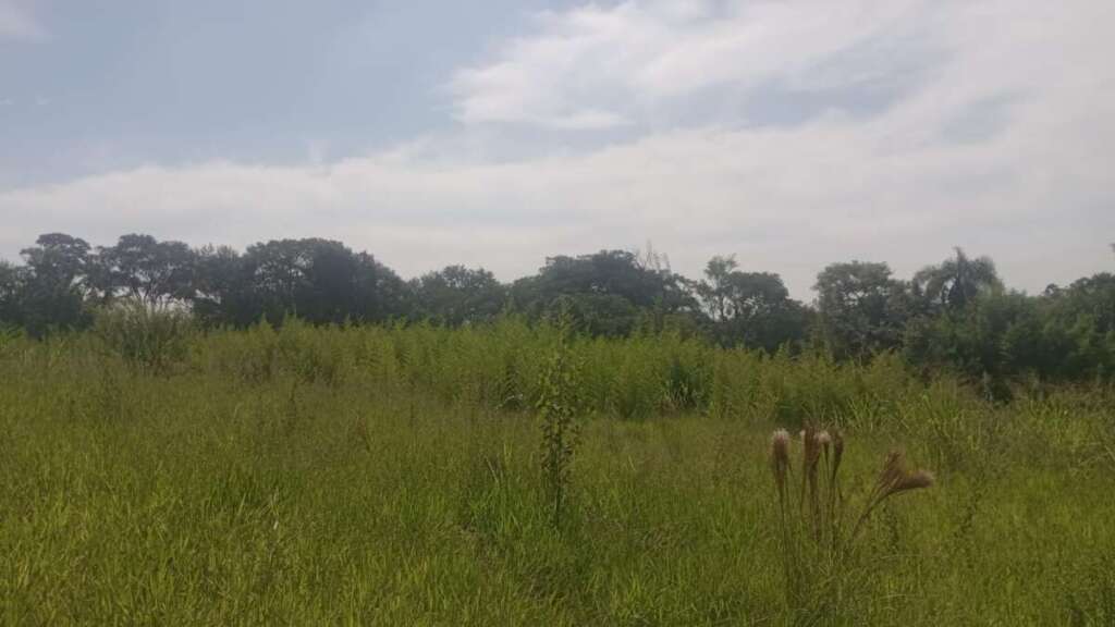 fb2a22d4 916a 40ee 805c f1b80c6864ee