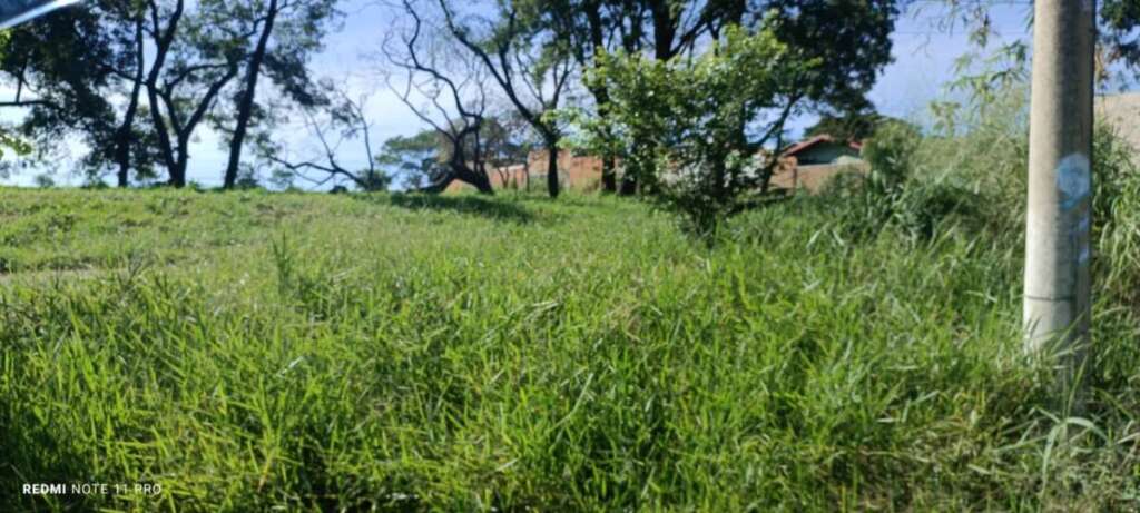 O abandono de Pirassununga: Falta de zeladoria compromete a "Cidade Simpatia" 24 IMG 20260412 WA0048