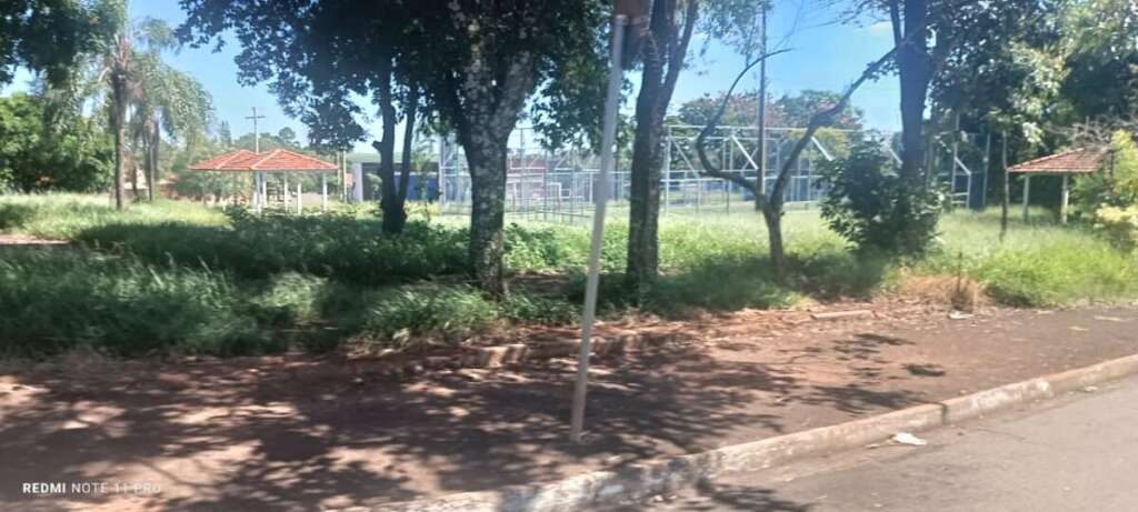 O abandono de Pirassununga: Falta de zeladoria compromete a "Cidade Simpatia" 22 IMG 20260412 WA0049