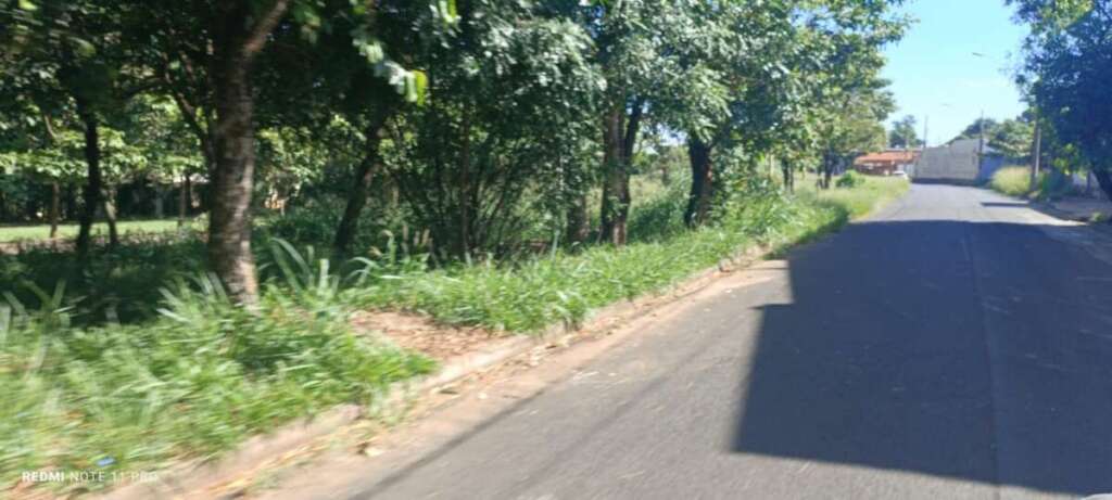 O abandono de Pirassununga: Falta de zeladoria compromete a "Cidade Simpatia" 17 IMG 20260412 WA0051