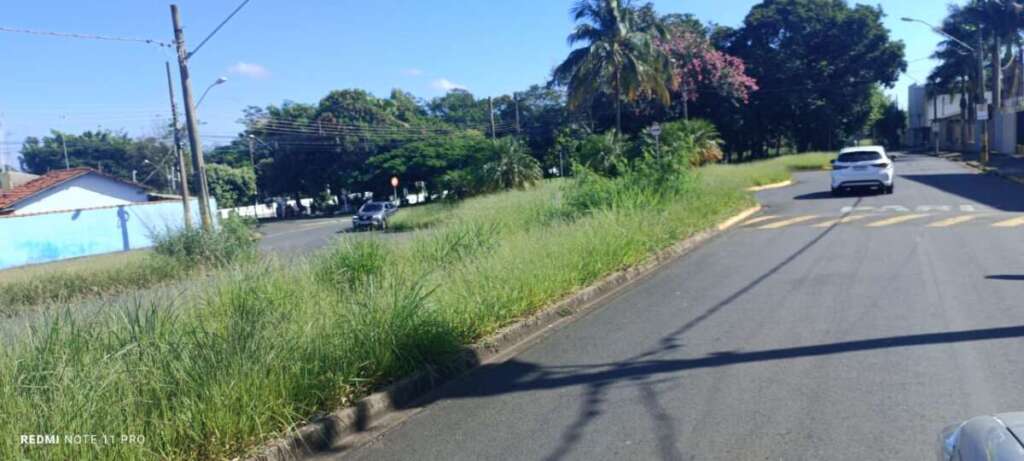 O abandono de Pirassununga: Falta de zeladoria compromete a "Cidade Simpatia" 18 IMG 20260412 WA0052