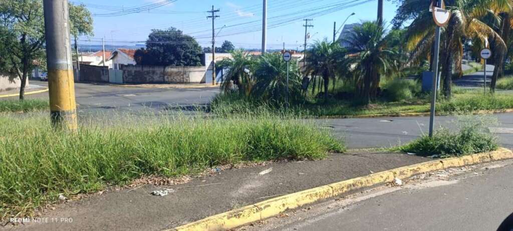 O abandono de Pirassununga: Falta de zeladoria compromete a "Cidade Simpatia" 13 IMG 20260412 WA0056