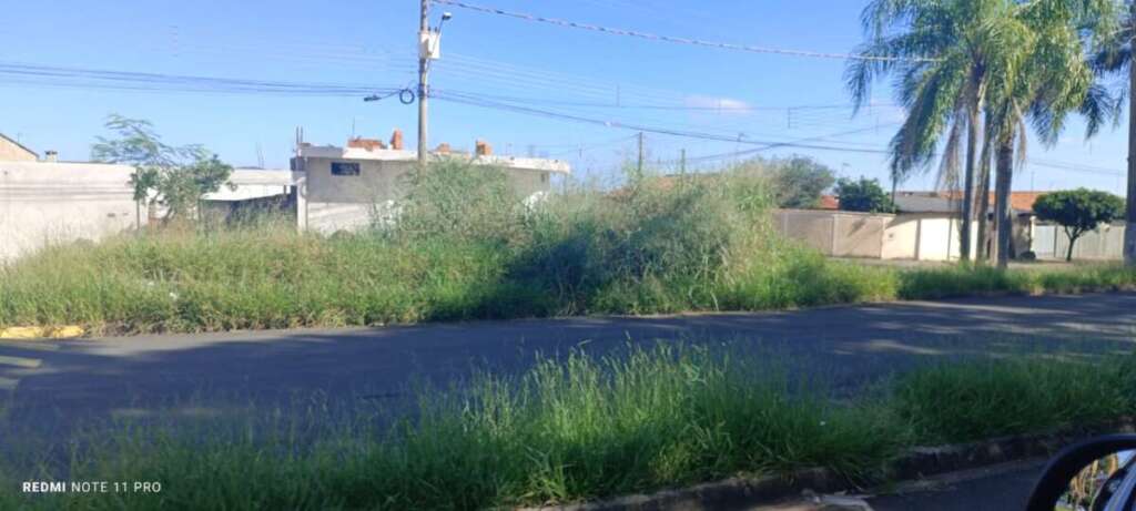 O abandono de Pirassununga: Falta de zeladoria compromete a "Cidade Simpatia" 19 IMG 20260412 WA0057