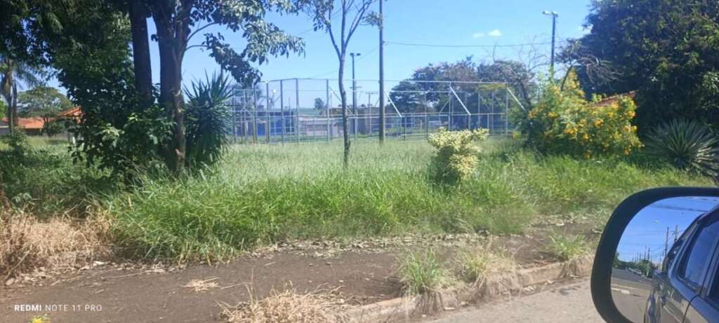 O abandono de Pirassununga: Falta de zeladoria compromete a "Cidade Simpatia" 3 IMG 20260412 WA0058