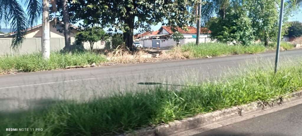 O abandono de Pirassununga: Falta de zeladoria compromete a "Cidade Simpatia" 4 IMG 20260412 WA0059