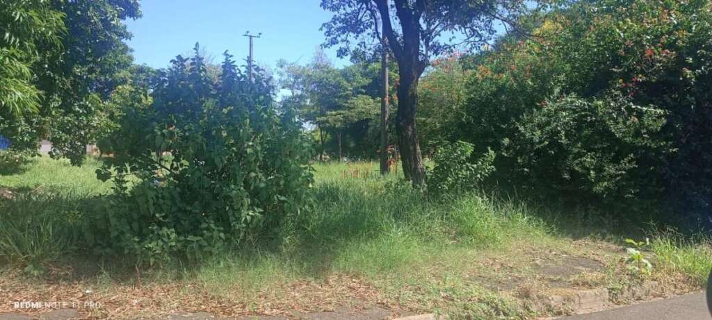 O abandono de Pirassununga: Falta de zeladoria compromete a "Cidade Simpatia" 2 IMG 20260412 WA0061 1