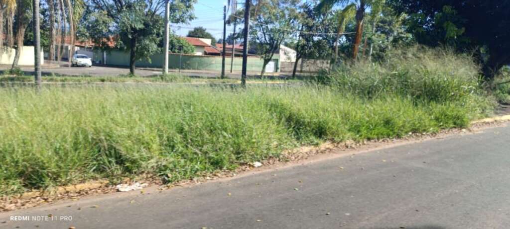 O abandono de Pirassununga: Falta de zeladoria compromete a "Cidade Simpatia" 14 IMG 20260412 WA0062