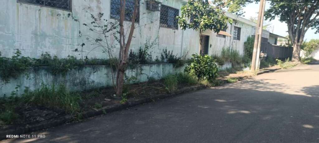 O abandono de Pirassununga: Falta de zeladoria compromete a "Cidade Simpatia" 11 IMG 20260412 WA0063