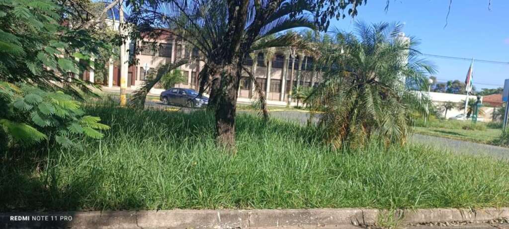 O abandono de Pirassununga: Falta de zeladoria compromete a "Cidade Simpatia" 12 IMG 20260412 WA0065