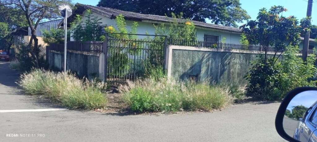 O abandono de Pirassununga: Falta de zeladoria compromete a "Cidade Simpatia" 9 IMG 20260412 WA0067