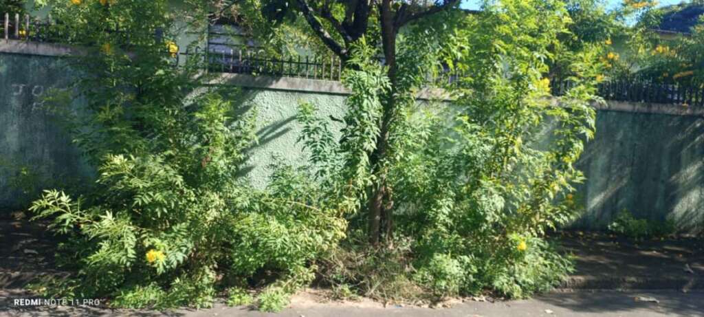 O abandono de Pirassununga: Falta de zeladoria compromete a "Cidade Simpatia" 8 IMG 20260412 WA0068