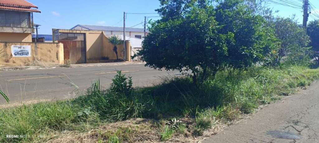 O abandono de Pirassununga: Falta de zeladoria compromete a "Cidade Simpatia" 6 IMG 20260412 WA0069