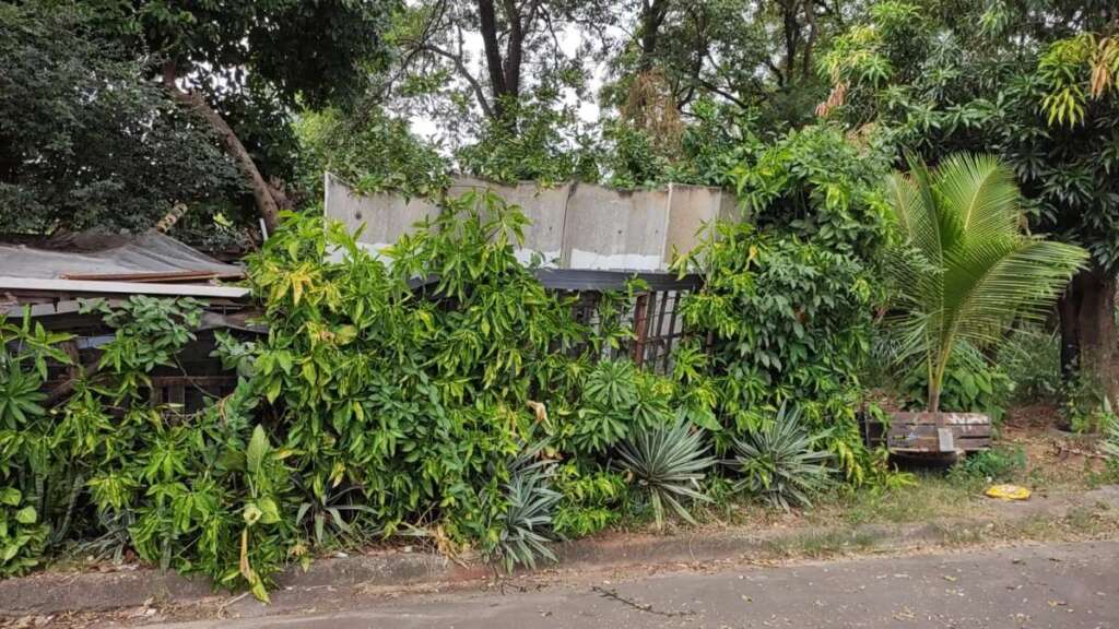 WhatsApp Image 2026 03 31 at 18.23.44