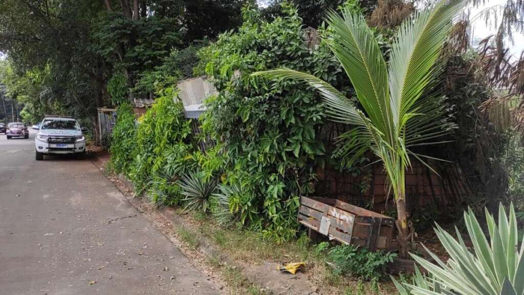 WhatsApp Image 2026 03 31 at 18.23.45