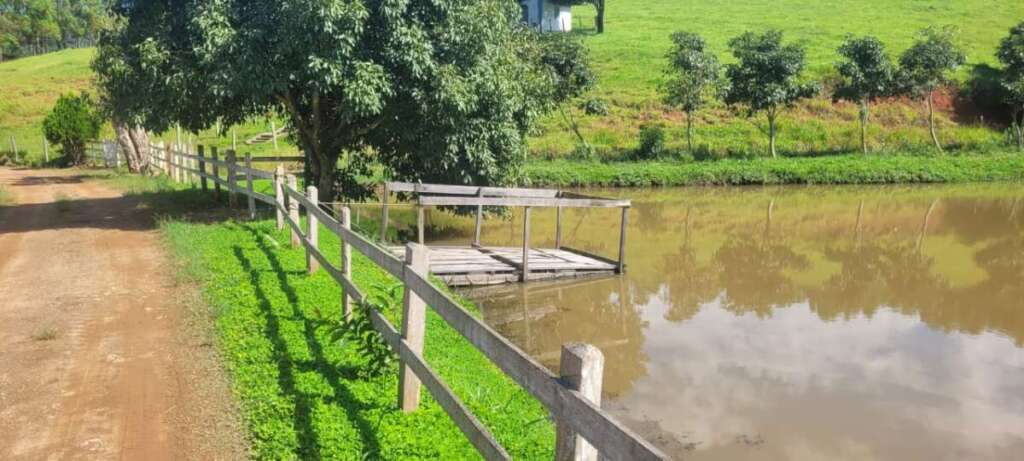 WhatsApp Image 2026 04 01 at 17.45.39 1