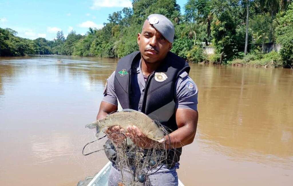 WhatsApp Image 2026 04 01 at 19.57.59