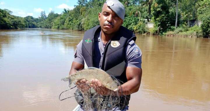 WhatsApp Image 2026 04 01 at 19.57.59