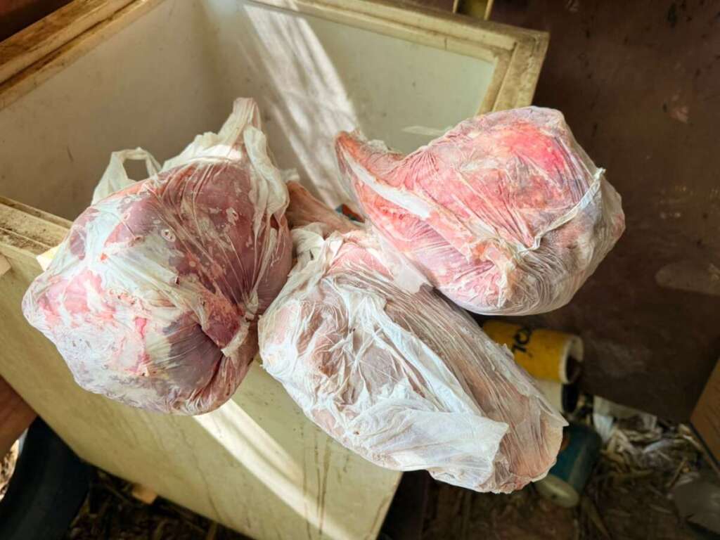 WhatsApp Image 2026 04 02 at 19.27.11