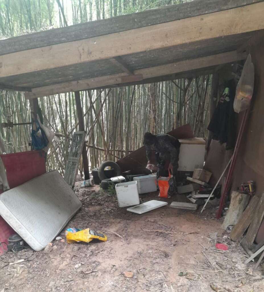 WhatsApp Image 2026 04 02 at 19.27.12