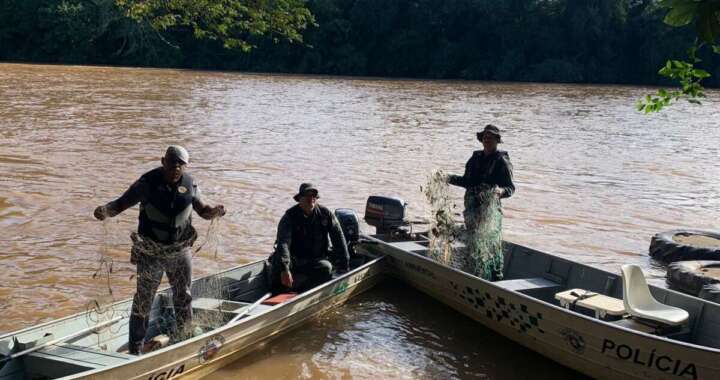 WhatsApp Image 2026 04 03 at 17.35.25