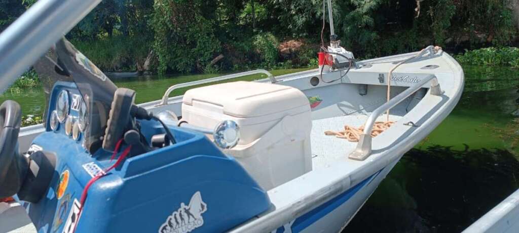 WhatsApp Image 2026 04 05 at 17.51.58