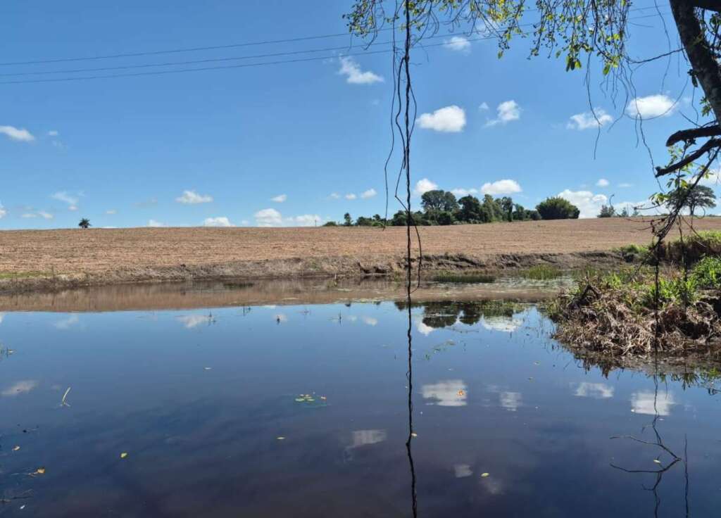 Liderança e Ação: Polícia Militar Ambiental intensifica combate a crimes ambientais 4 WhatsApp Image 2026 04 06 at 20.45.04