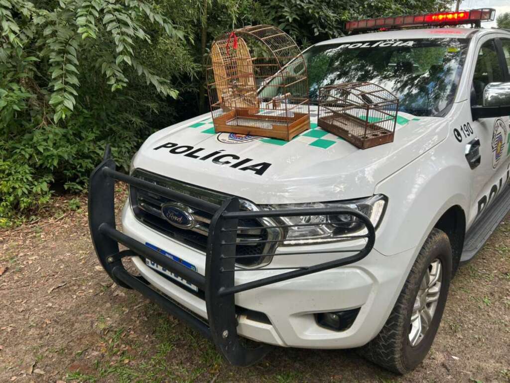 Liderança e Ação: Polícia Militar Ambiental intensifica combate a crimes ambientais 5 WhatsApp Image 2026 04 07 at 18.25.57