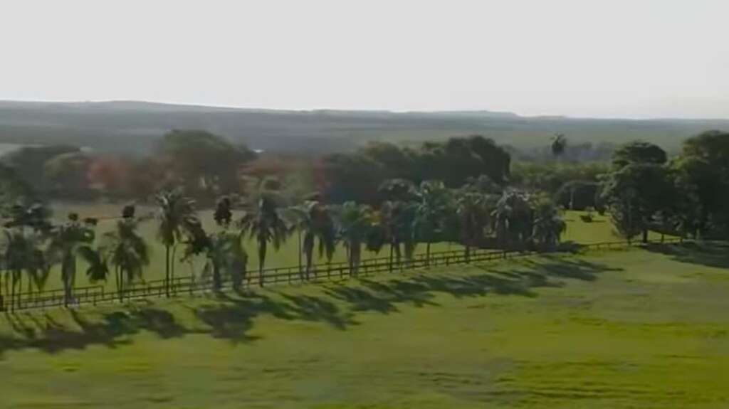 WhatsApp Image 2026 04 08 at 10.41.30 1