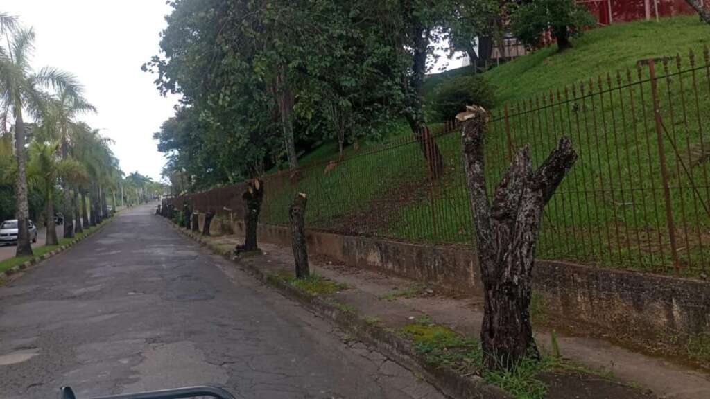 Liderança e Ação: Polícia Militar Ambiental intensifica combate a crimes ambientais 7 WhatsApp Image 2026 04 09 at 17.26.21