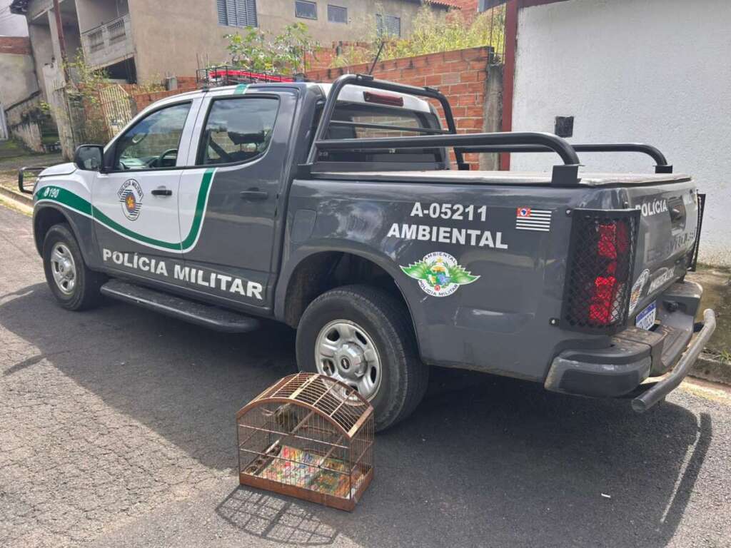 WhatsApp Image 2026 04 10 at 17.30.33