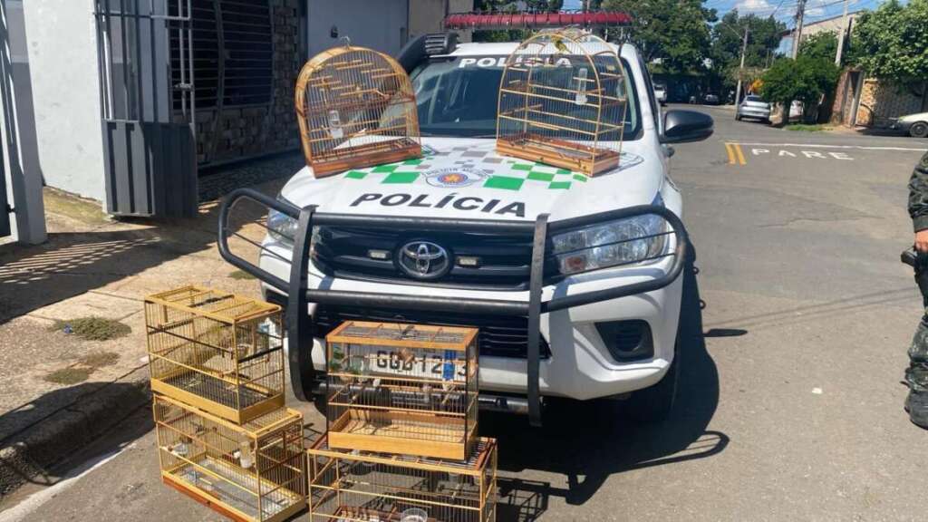 WhatsApp Image 2026 04 11 at 19.34.42