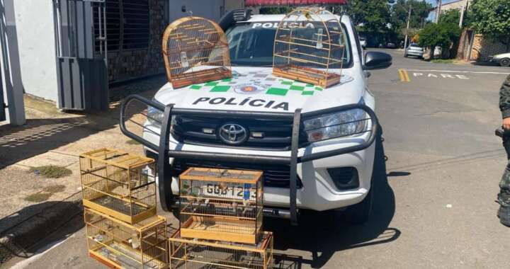 WhatsApp Image 2026 04 11 at 19.34.42