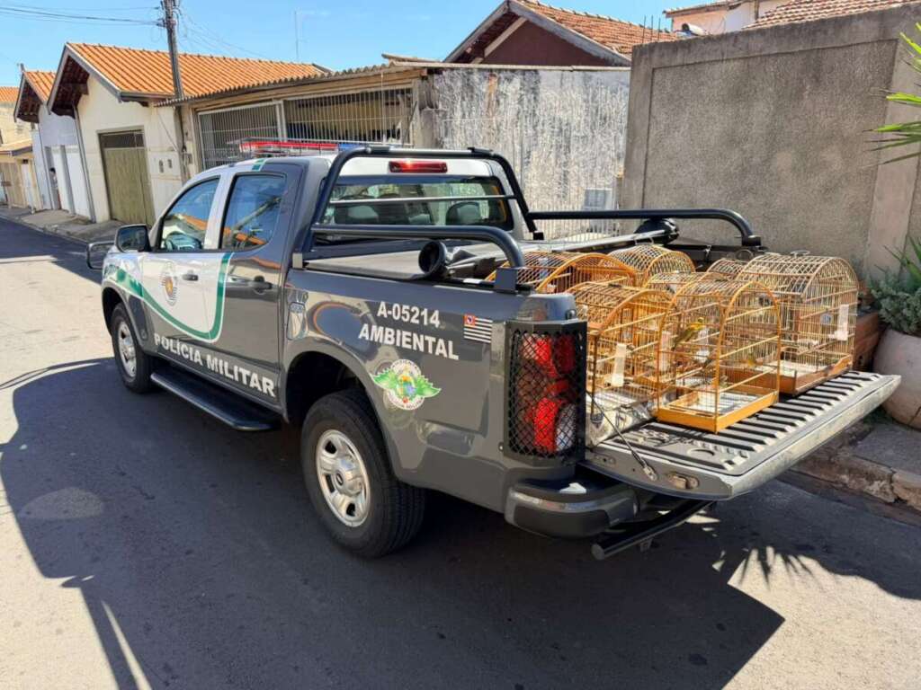 WhatsApp Image 2026 04 12 at 13.56.10 1