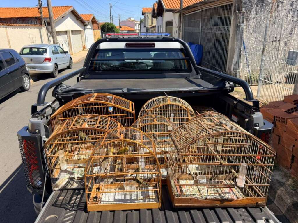 WhatsApp Image 2026 04 12 at 13.56.10